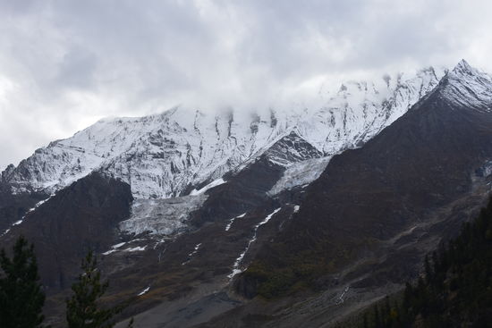 Gletscher gegenüber des Lagers