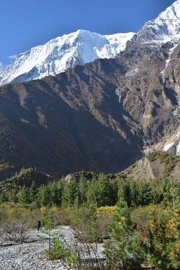 entspannter Weg bis zum Phoksumdo-See