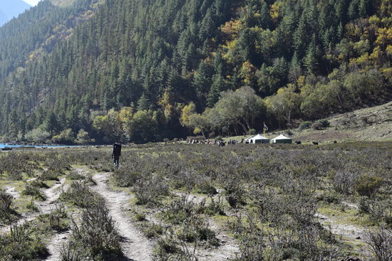 entspannter Weg bis zum Phoksumdo-See