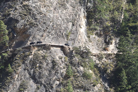 auch gegenüber waren Karawanen unterwegs