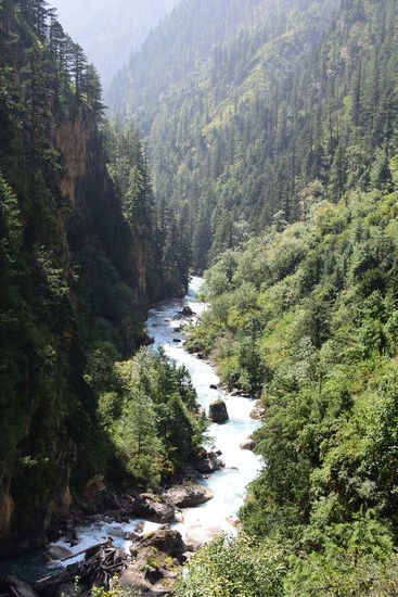 immer am Fluss entlang