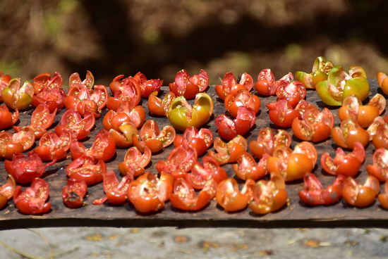 Tomaten für den Winter