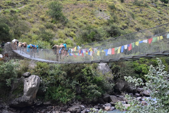 letzte Hängebrücke vor Tiyar Gompa