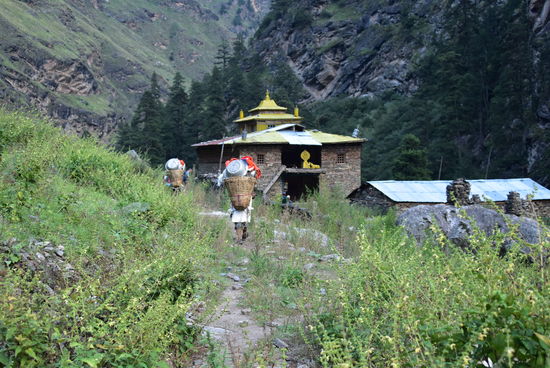 Tiyar Gompa, Lagerplatz für die Nacht