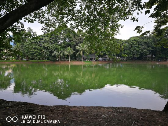 Lumphini Park