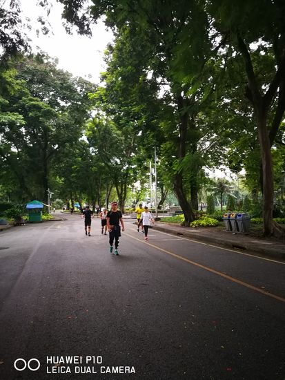 Jogger bzw. Geher im Lumphine Park