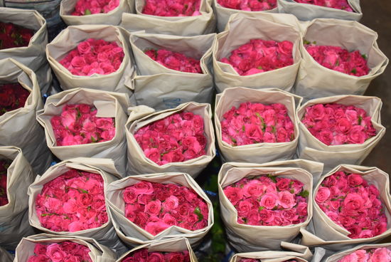 PakkhLong Talat Flower Market
