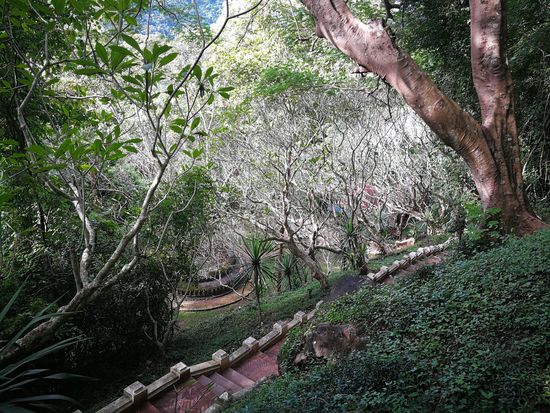 Phou Si