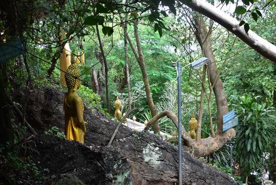 Phou Si