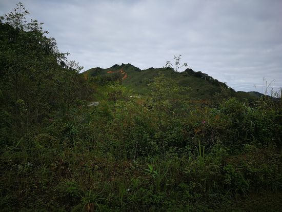 Fahrt durch die Berge