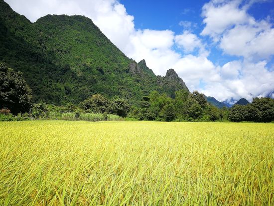 Weg zur nächsten Höhle