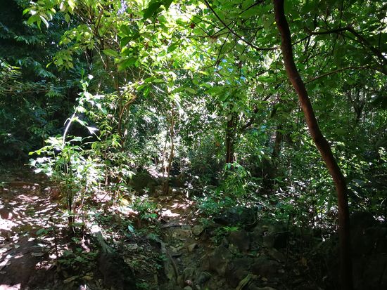 Aufstieg zur Tham Loub