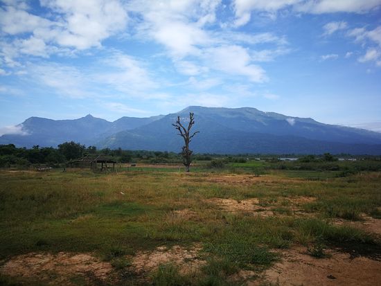 Auf dem Weg zum Vat Phou.