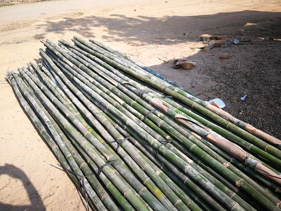 Bambusrohre für den Sticky Rice