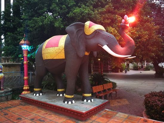 Elefant vor dem Tempel der "buddhistischen Universität"
