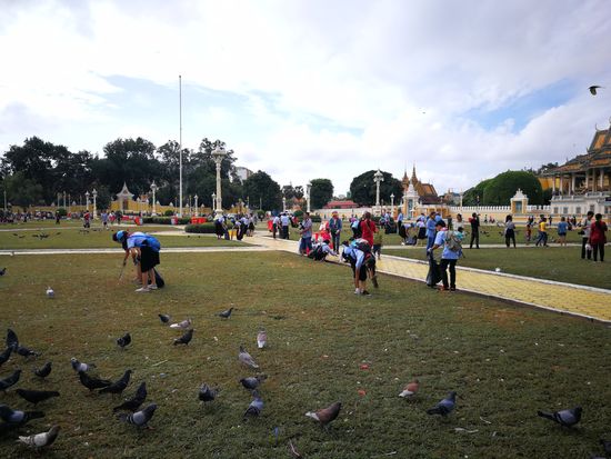 das rote Kreuz und die Pfadfinder haben aufgeräumt