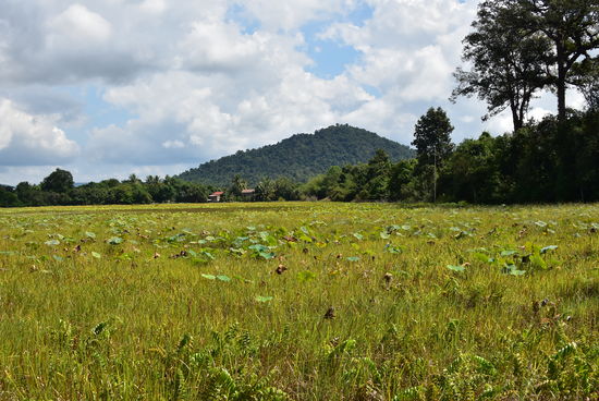 Banteay Srei