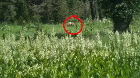 Sonst gibt es so etwas nur im Fernsehen