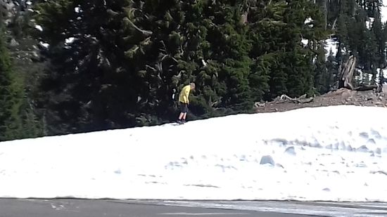 wir hätten einen Schlitten mitbringen können