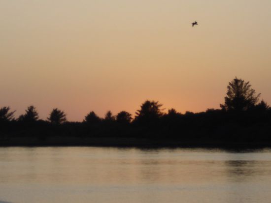 ...und in Eureka (am Pazifik) wieder mit Jacken bei gut 60 Grad.