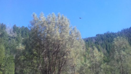 Da ist das Wappentier (zu erahnen auf dem Foto)