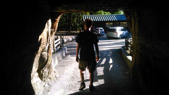 durch einen lebenden (ca. 2000 Jahre alten) Baum gehen