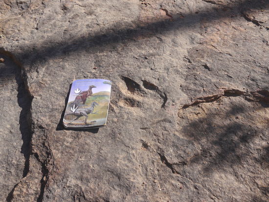 Dinosaurierspuren mit Erklärungshilfen