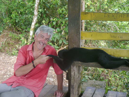 Im Parque Machía, Bekanntschaft mit dem Mono Araña
