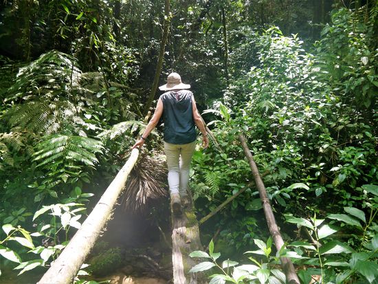 Auf verschlungenen Pfaden geht es sodann tiefer in den Dschungel hinein.