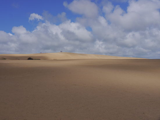 Dünenlandschaft, unendliche Weite