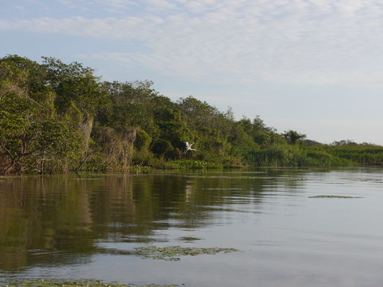 Abendstimmung am Rio Uruguay in Nuevo Berlin