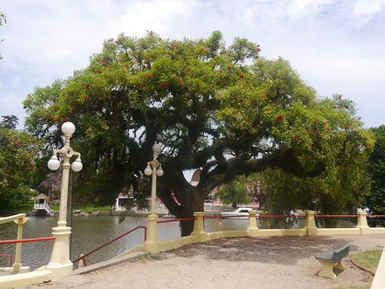Am Hafen von Carmelo.