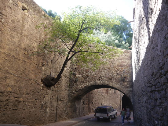 Die Kraft der Natur, innerhalb der Stadtmauern in Guanajuato