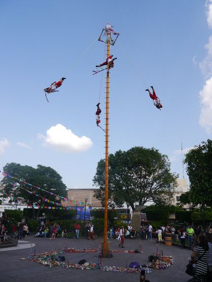 Bis zum Boden sind es exakt dreizehn Runden, die Höhe des Baumstammes beträgt 25 Meter!!