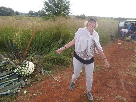 Schön, wenn man wieder aufhören darf.