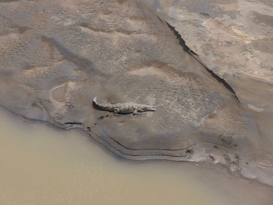 Reizende Flussliebhaber, hier wäre ein Badevergnügen der besonderen Art möglich!