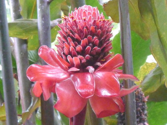 Diese Farben, unglaublich.