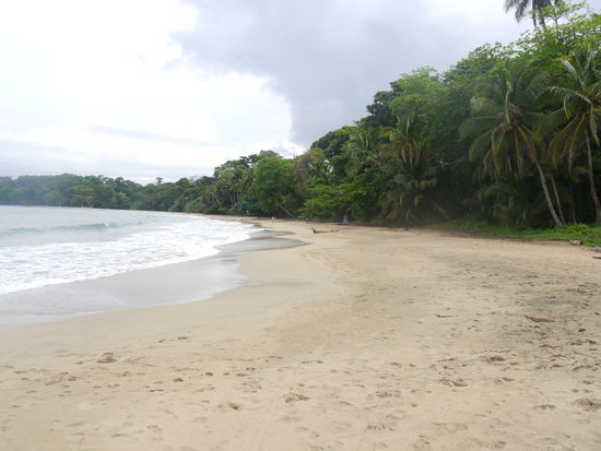 Playa Uva, 100m von den Cabinas entfernt