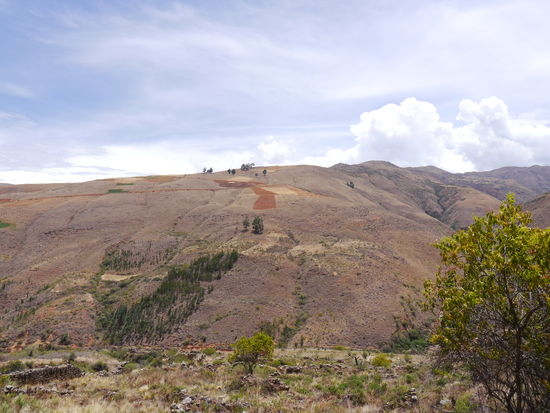Kartoffelanbau in 4000 m Höhe