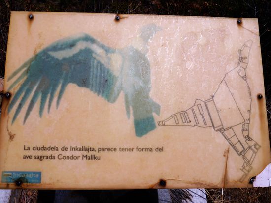 Die gesamte Anlage von Inkallajta wurde dem Körper eines Condor nachempfunden.