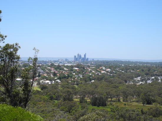 Vom Lookout sieht man die City Perth