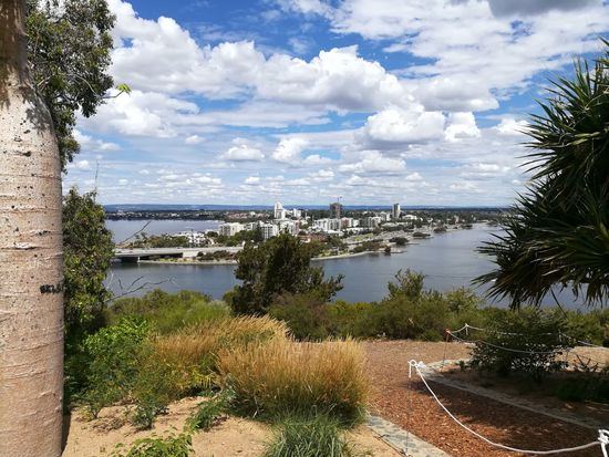 Pirmin und ich besuchen den Botanischen Garten im Kingspark. Echt sehenswert!!! Hier die Aussicht auf den östlichen Teil von Perth mit dem Swanriver