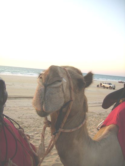 Das ist er, mein oli!