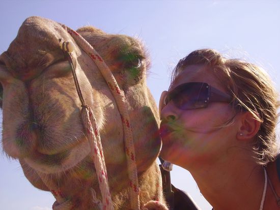 Aber irgendwie wollte der sich nicht knutschen lassen...