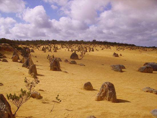 Die Pinnacle Wueste...!