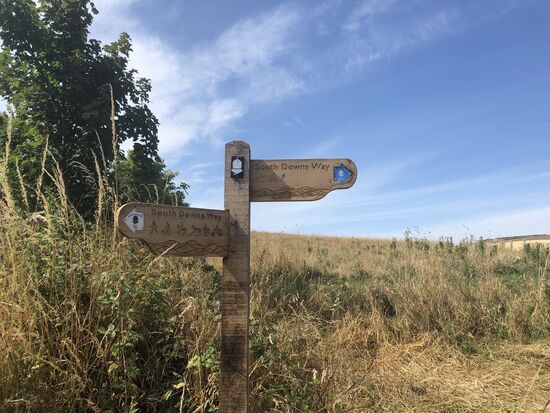Endlich angelangt auf dem South Downs Way.