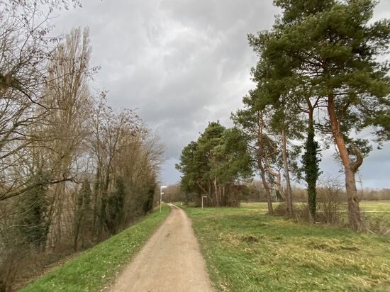 Angenehmer Rad- und Fußweg auf dem internationalen Fernradweg EuroVelo 15 Richtung Norden vor Rheinweiler.