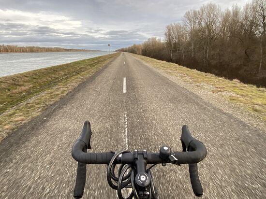 Nicht zum Nachahmen empfohlen - es hat allerdings dennoch große Freude bereitet. Auf ungefähr dieser Höhe muss mir vor einigen Jahren eine Nutria über den Weg gelaufen sein, mich zum Fall und mein Knie zum Bluten und beinahe "defekt"-sein gebracht haben.