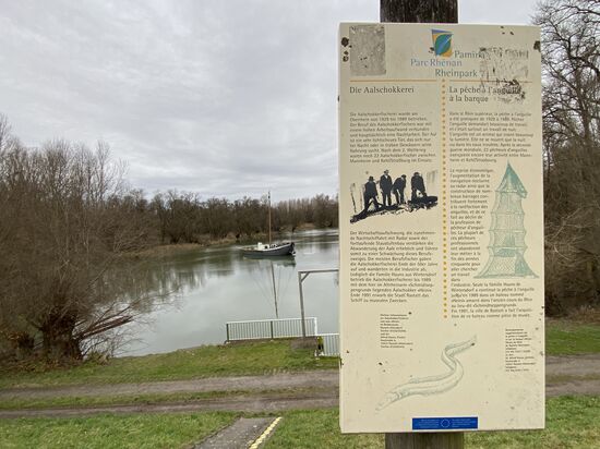 Informationstafel zu der ehemaligen "Aalschokkerei" mit dem ankernden "HEINI" im Weiher bei
