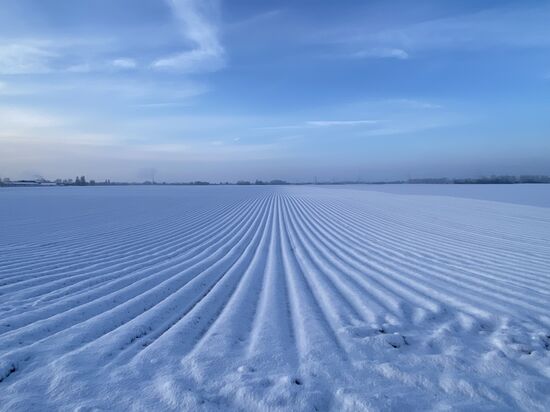 Selbst die landwirtschaftlichen Flächen zeigen sich von ihrer schönsten Seite. Man könnte sie als die Lavendelfelder des Winters bezeichnen.